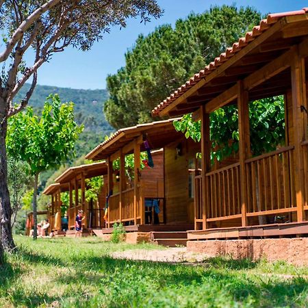 Camping El Pasqualet 호텔 칼다스 데 몬트부이 외부 사진